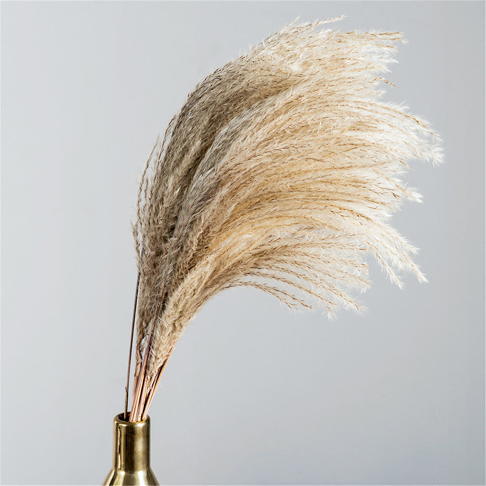 Dried Pampas Grass Rustic Bouquet Natural River Reeds Dried Plants For Table Decoration Vintage Home Decor Wedding Flowers Bunch 30pcs