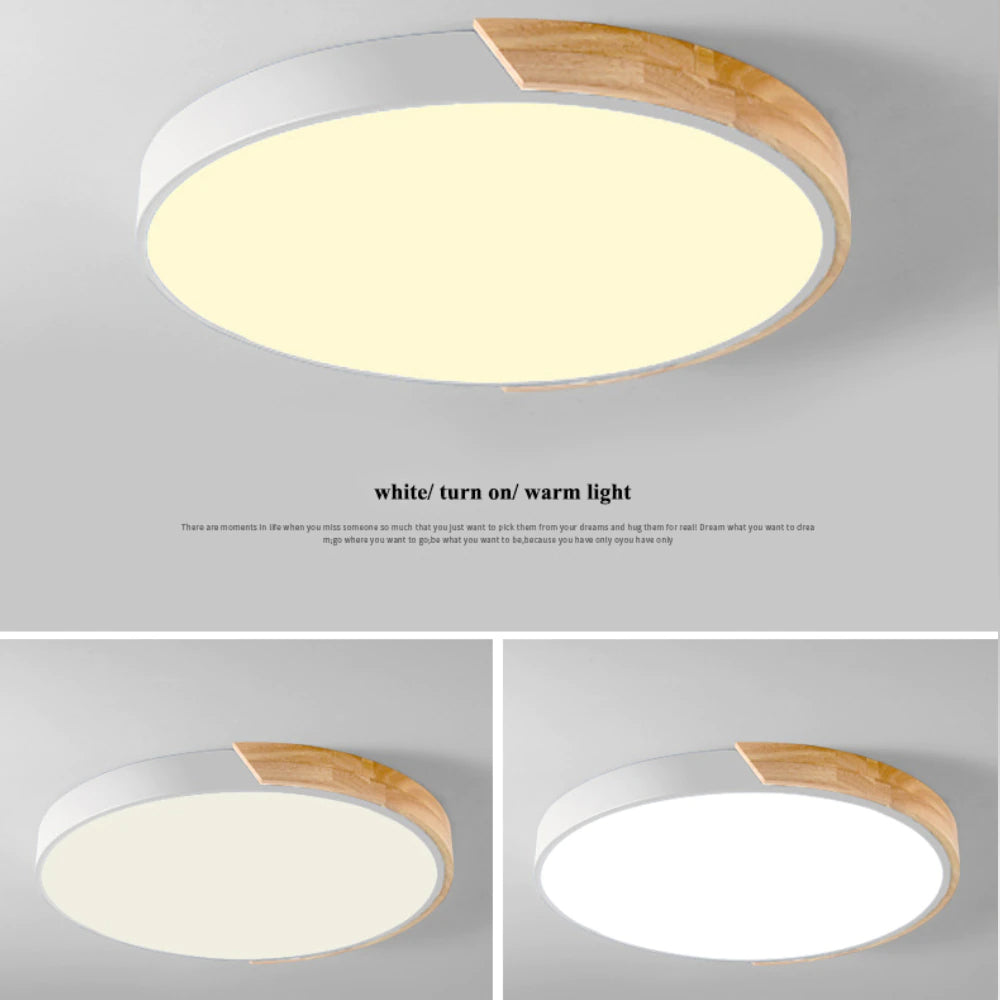 Modern Colorful Flat Round LED Ceiling Lights Nordic Style Lighting For Kitchen Modern Living Room Dining Room Home Office Decor