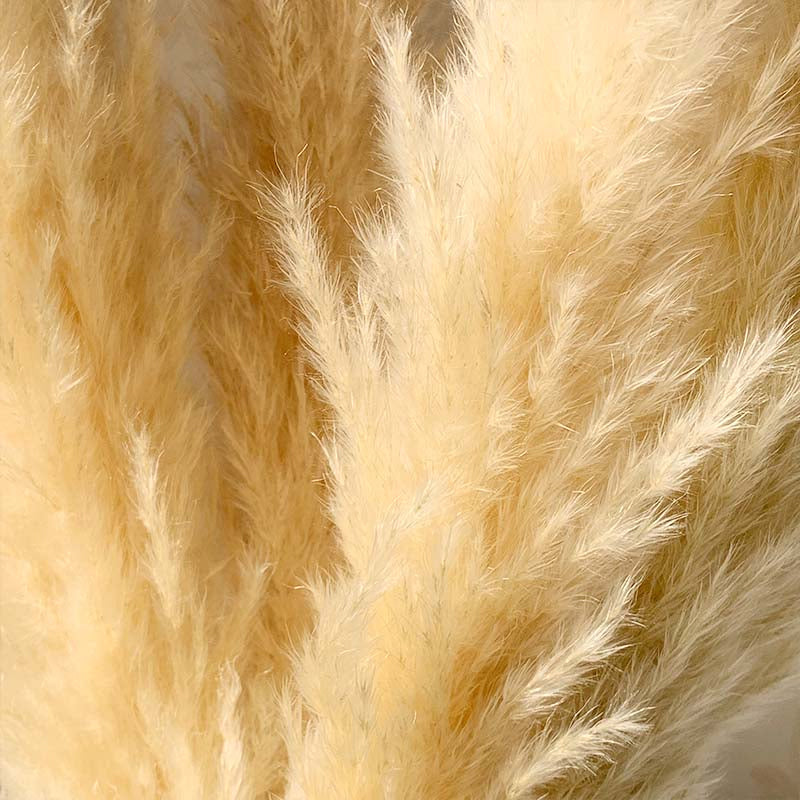 Natural Beige Dried Pampas Grass Decor Floral Bouquet Decorative Plants For Boho Style Living Room Bedroom Dining Room Table Bohemian Home Decor