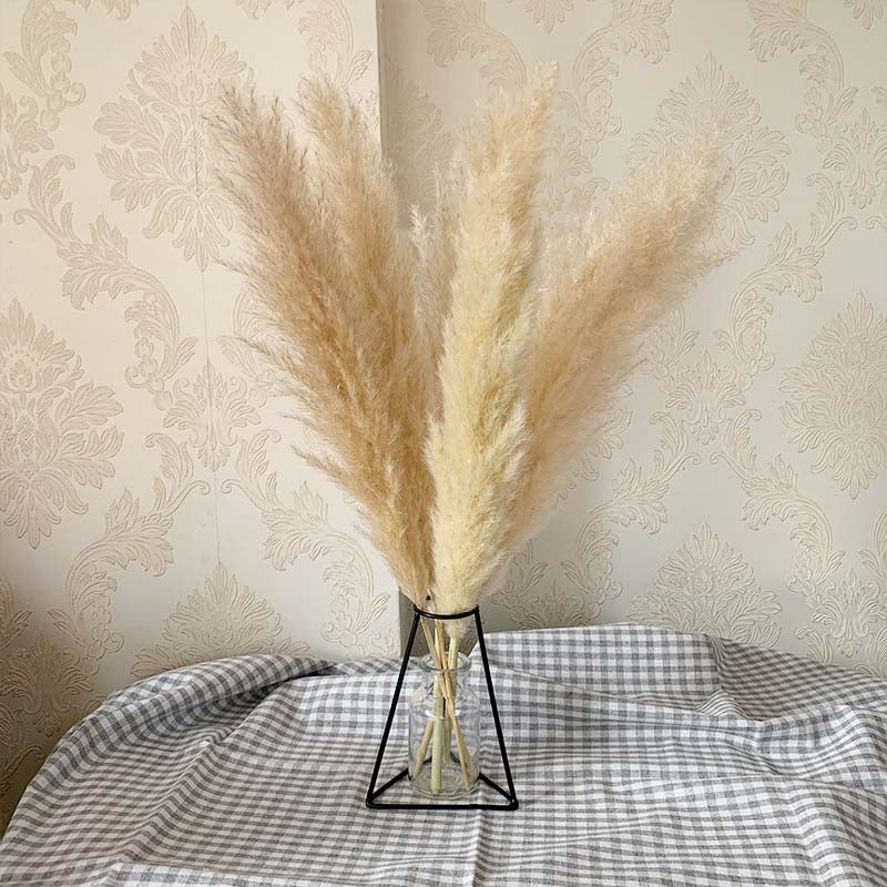 Natural Beige Dried Pampas Grass Decor Floral Bouquet Decorative Plants For Boho Style Living Room Bedroom Dining Room Table Bohemian Home Decor