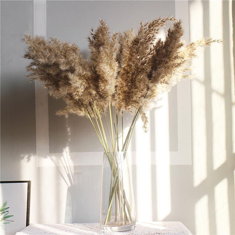 Natural Pampas Grass Bouquet Decorative Dried Plants For Bohemian Style Living Room Dining Room Bedroom Trending Decor BoHo Style Home Interior Decoration