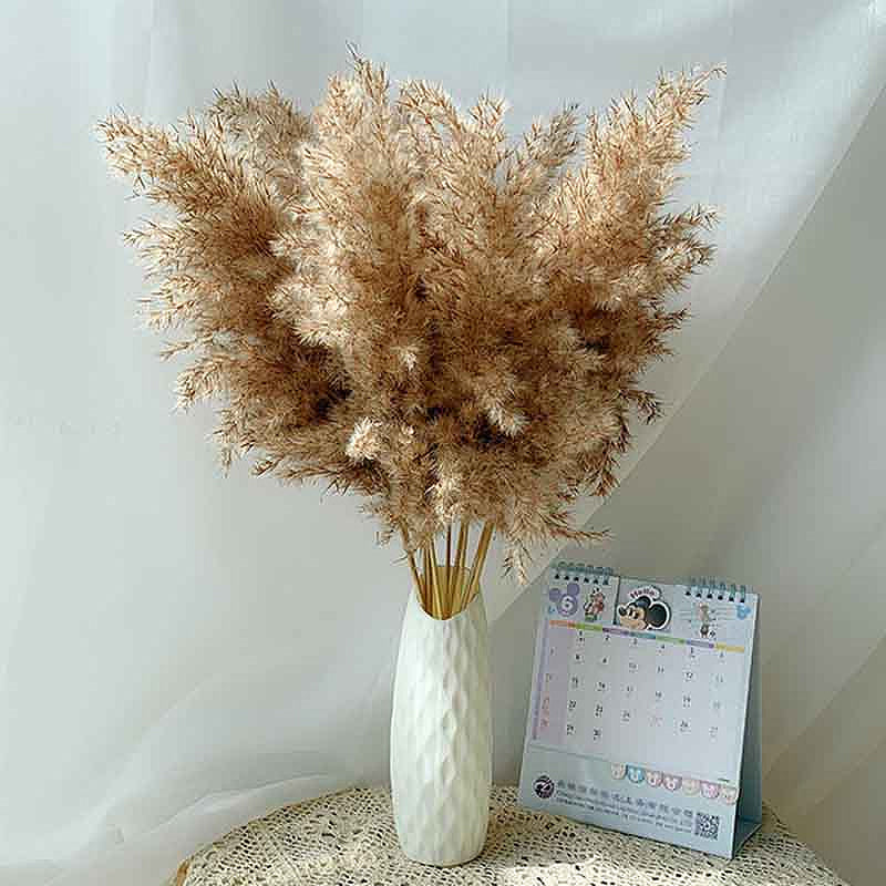 Natural Pampas Grass Bouquet Decorative Dried Plants For Bohemian Style Living Room Dining Room Bedroom Trending Decor BoHo Style Home Interior Decoration