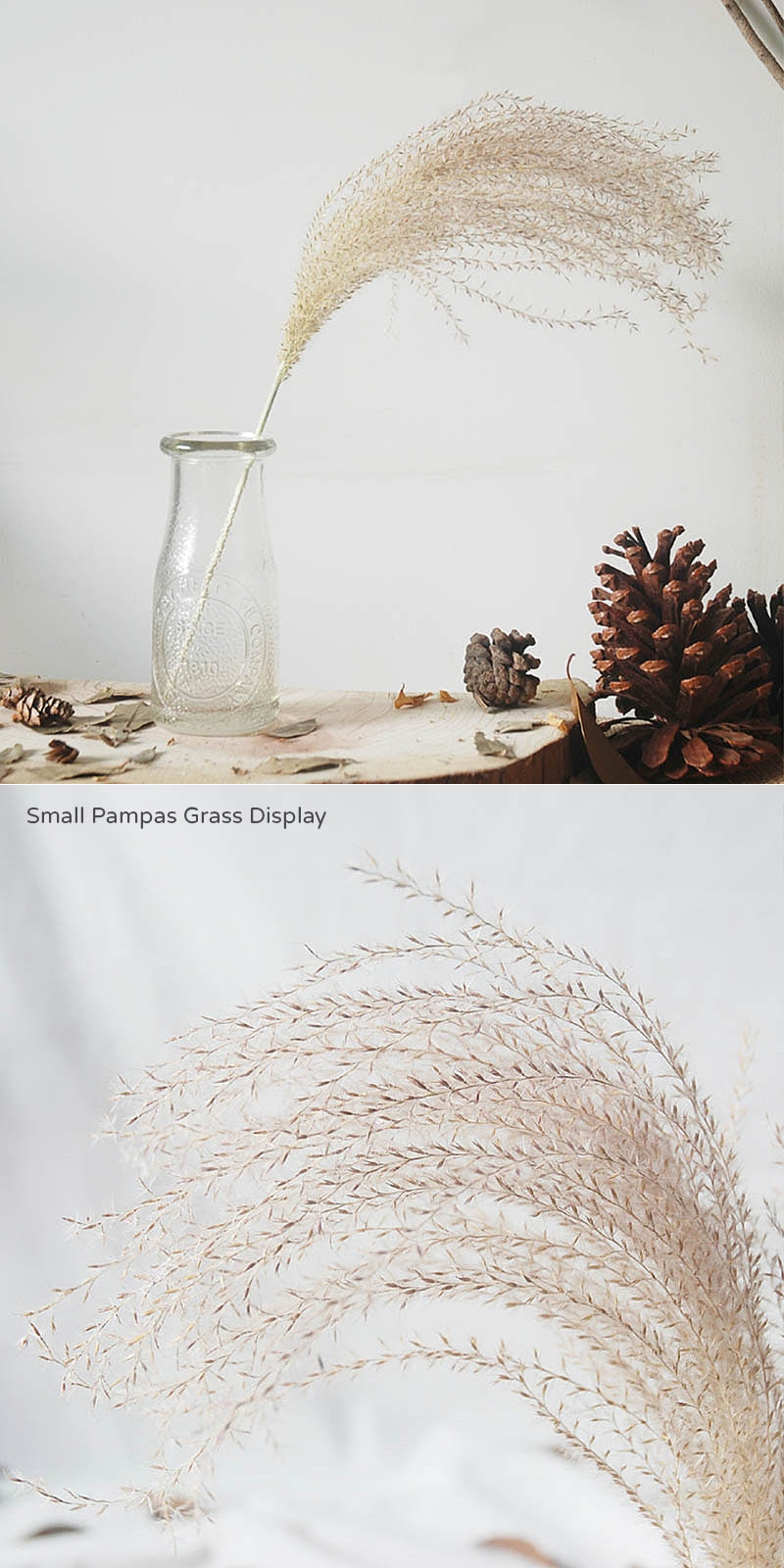 Natural Pampas Grass Bouquet Decorative Dried Plants For Bohemian Style Living Room Dining Room Bedroom Trending Decor BoHo Style Home Interior Decoration