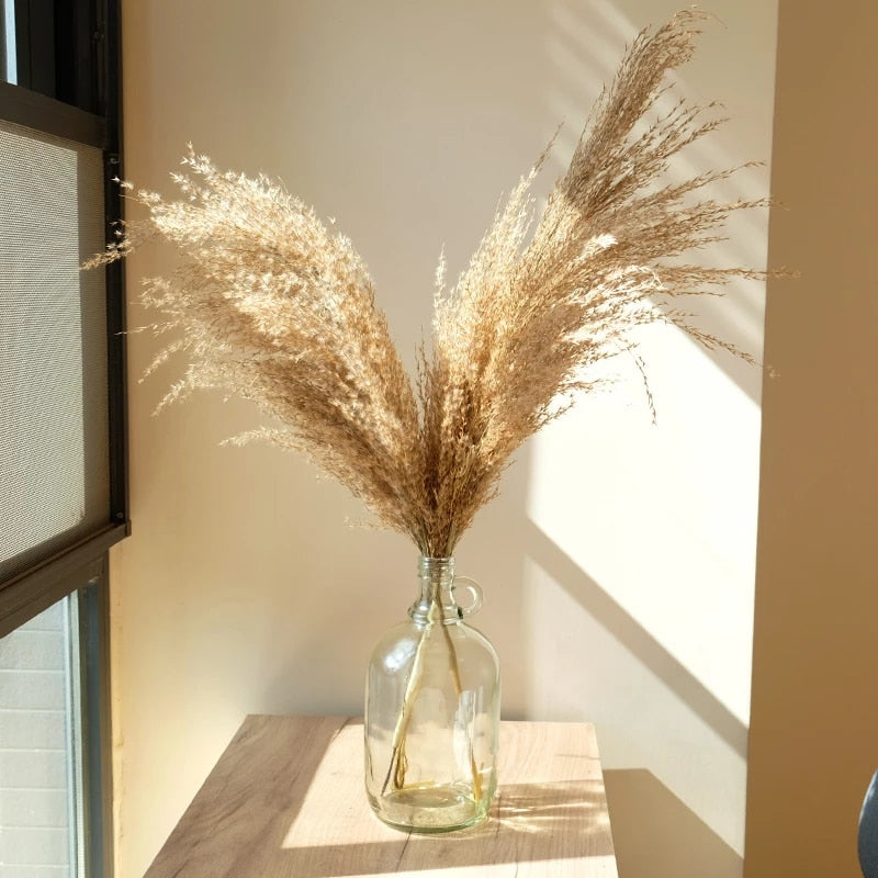 Natural Pampas Grass Bouquet Decorative Dried Plants For Bohemian Style Living Room Dining Room Bedroom Trending Decor BoHo Style Home Interior Decoration