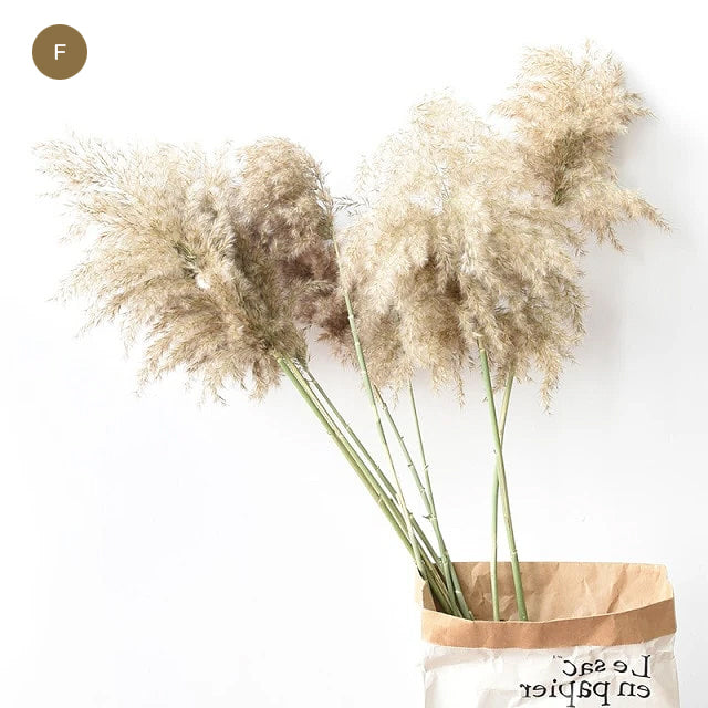 Natural Pampas Grass Bouquet Decorative Dried Plants For Bohemian Style Living Room Dining Room Bedroom Trending Decor BoHo Style Home Interior Decoration