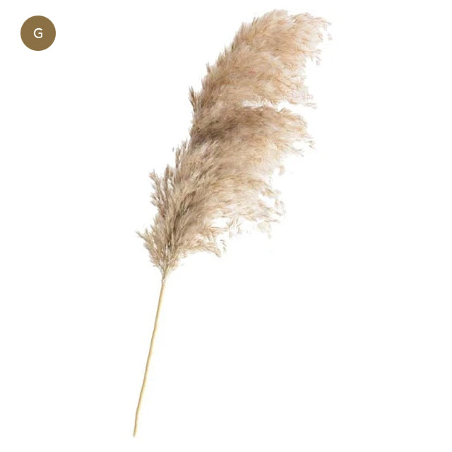 Natural Pampas Grass Bouquet Decorative Dried Plants For Bohemian Style Living Room Dining Room Bedroom Trending Decor BoHo Style Home Interior Decoration