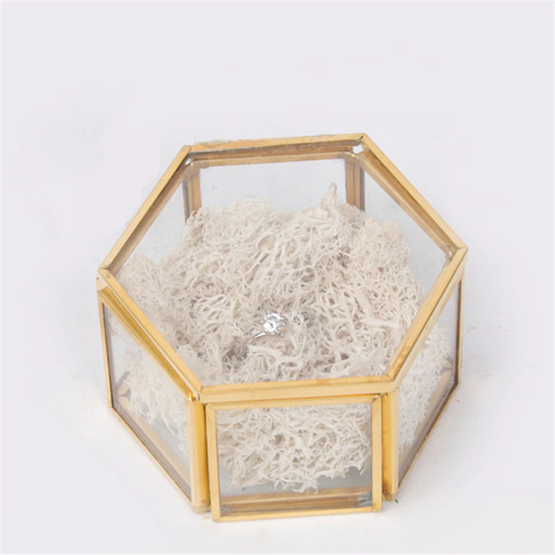 Nordic Style Geometric Polygon Transparent Gold And Glass Jewelry Storage Box Desktop Display Succulents Cactus Plant Pot