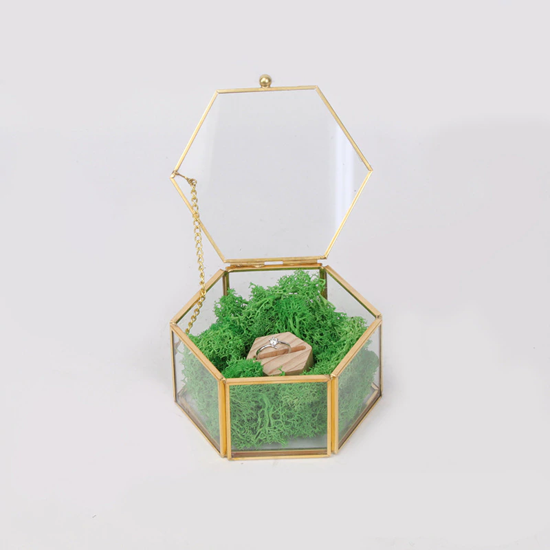 Nordic Style Geometric Polygon Transparent Gold And Glass Jewelry Storage Box Desktop Display Succulents Cactus Plant Pot
