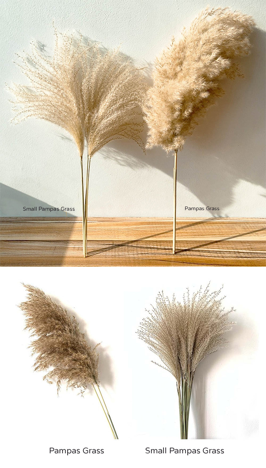 Real Dried Pampas Grass Bouquet Bohemian Decor Natural Dried Fluffy Plants For Dining Room Kitchen Decoration Living Room Boho Style Home Interior Design