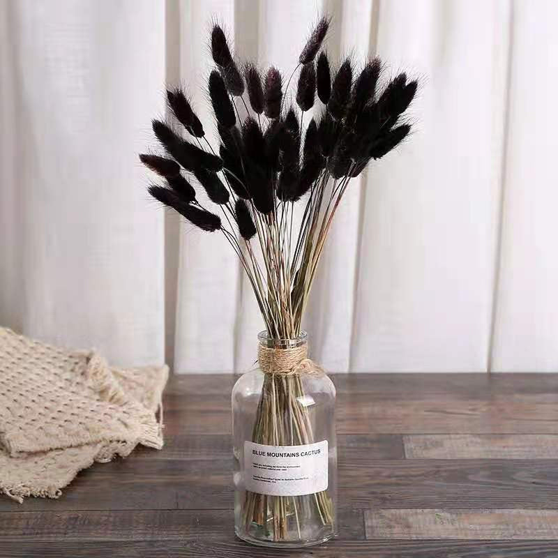 White Pampas Grass Bouquet Home Decor Real Dried Plants Natural Floral Bouquet For Living Room Dining Room Bedroom Celebration Event Decoration Pack of 15Pcs