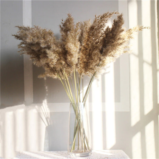 Dried Pampas Grass Rustic Bouquet Natural River Reeds Dried Plants For Table Decoration Vintage Home Decor Wedding Flowers Bunch 30pcs