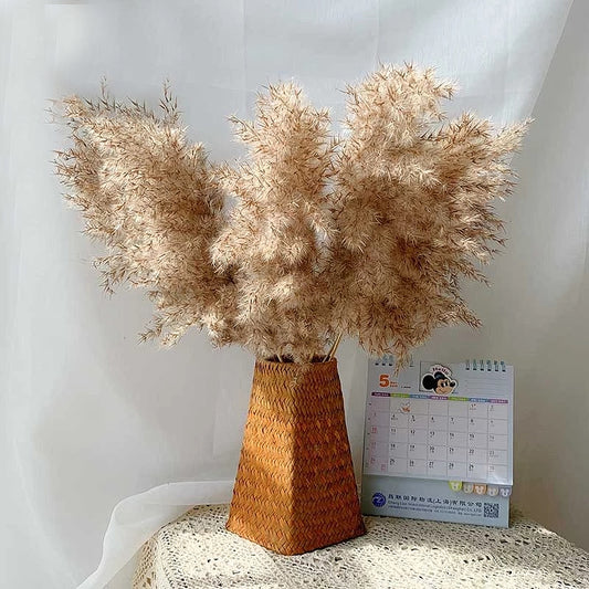 Natural Pampas Grass Bouquet Decorative Dried Plants For Bohemian Style Living Room Dining Room Bedroom Trending Decor BoHo Style Home Interior Decoration