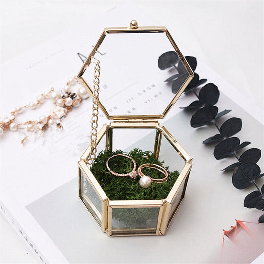 Nordic Style Geometric Polygon Transparent Gold And Glass Jewelry Storage Box Desktop Display Succulents Cactus Plant Pot