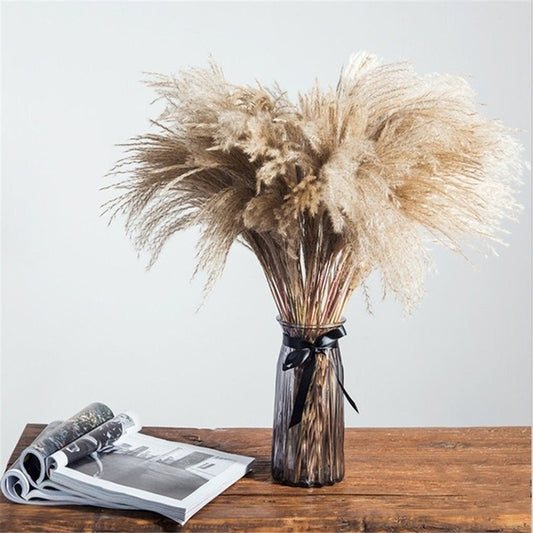 Dried Pampas Grass Rustic Bouquet Natural River Reeds Dried Plants For Table Decoration Vintage Home Decor Wedding Flowers Bunch 30pcs