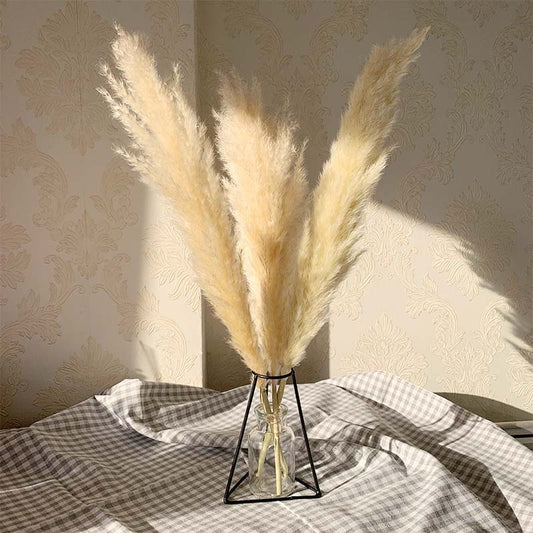 Natural Beige Dried Pampas Grass Decor Floral Bouquet Decorative Plants For Boho Style Living Room Bedroom Dining Room Table Bohemian Home Decor