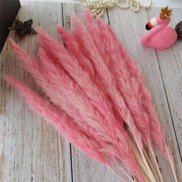 White Pampas Grass Bouquet Home Decor Real Dried Plants Natural Floral Bouquet For Living Room Dining Room Bedroom Celebration Event Decoration Assorted Colors