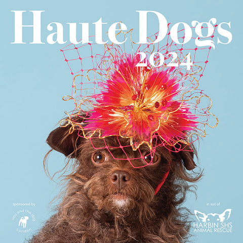 HAUTE DOGS x Harbin SHS Calendar 2024