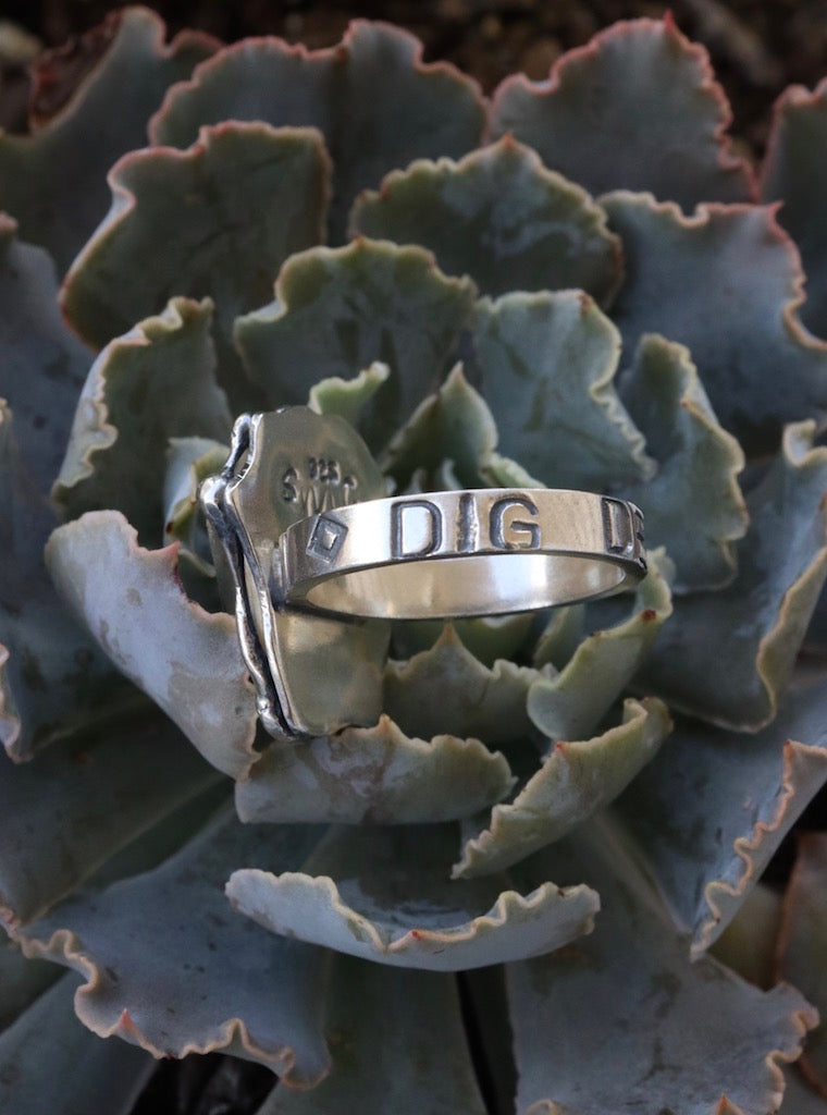 Dig Deep Coffin Ring Size 9 - Sun Moon and Crystals
