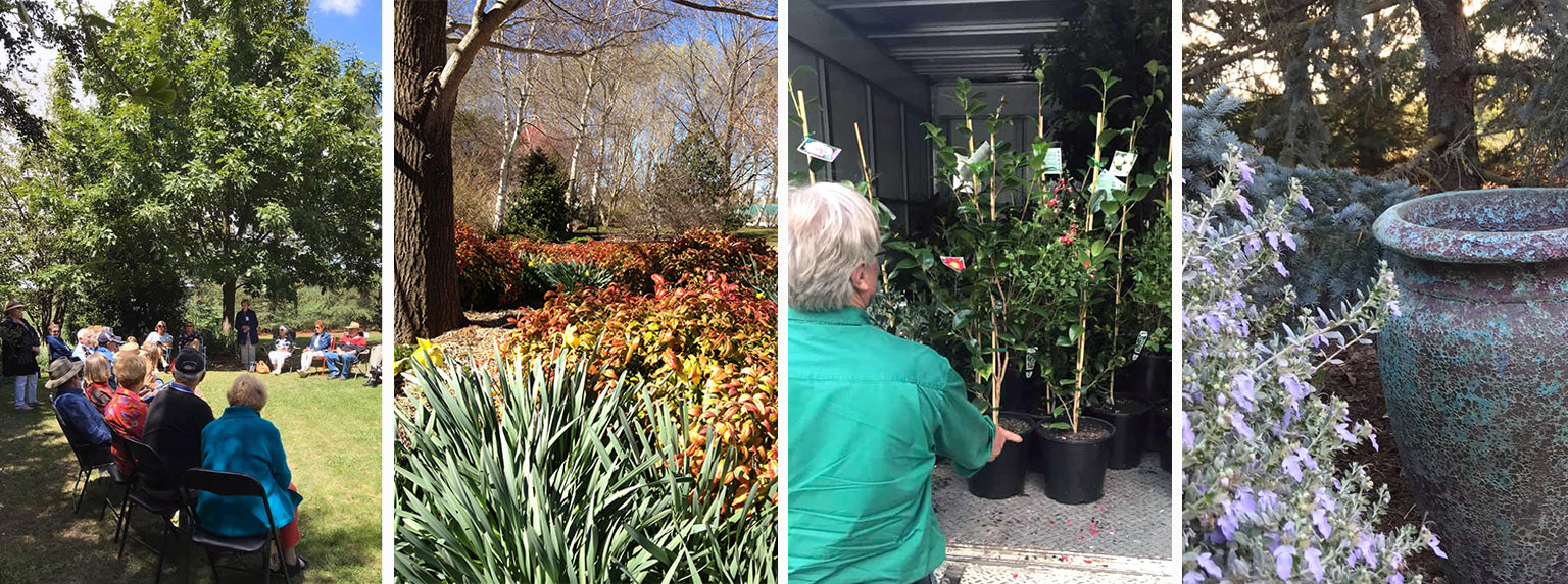 Millthorpe Garden Nursery Services