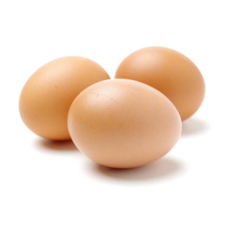 Egg born