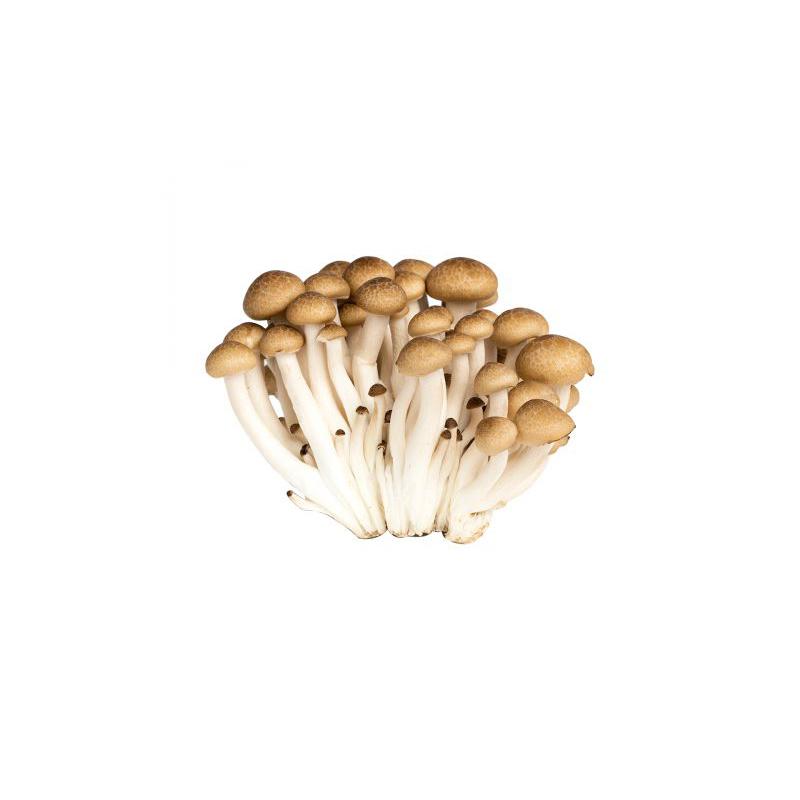 Shitake Mushroom / Cendawan Shitake 200g +