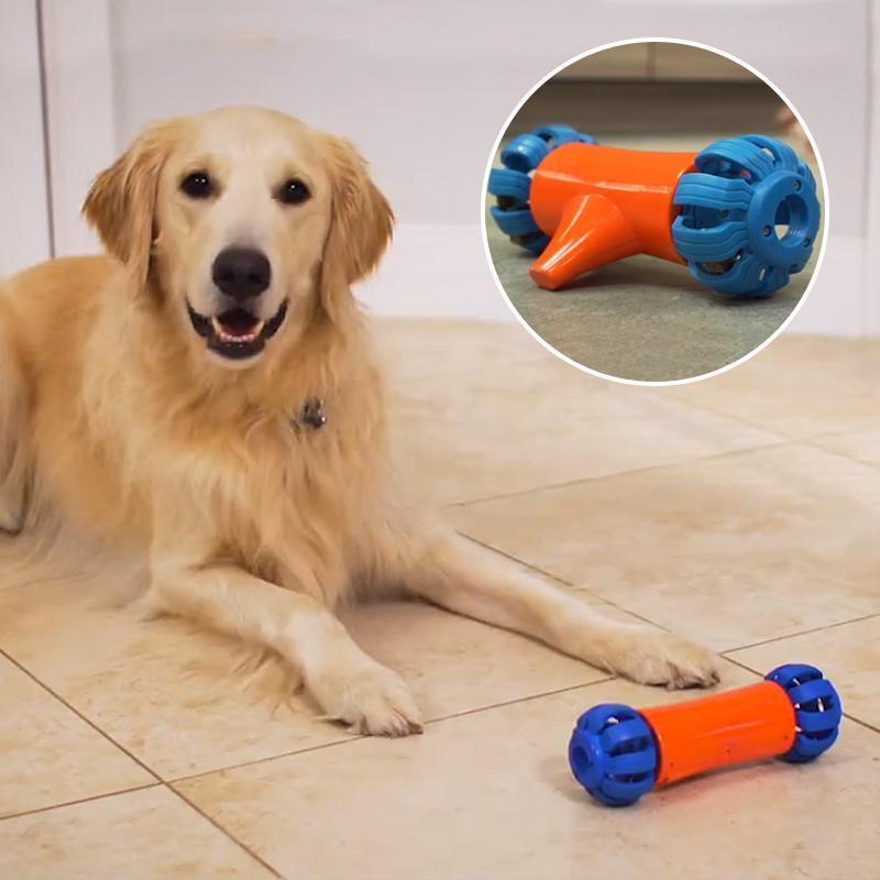 automatic dog toy