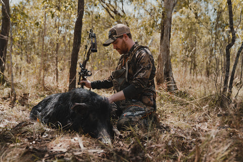 Bowhunter with pig in cape york