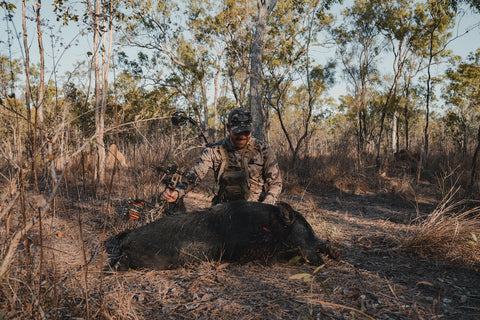 Bowhunter with Cape York Boar