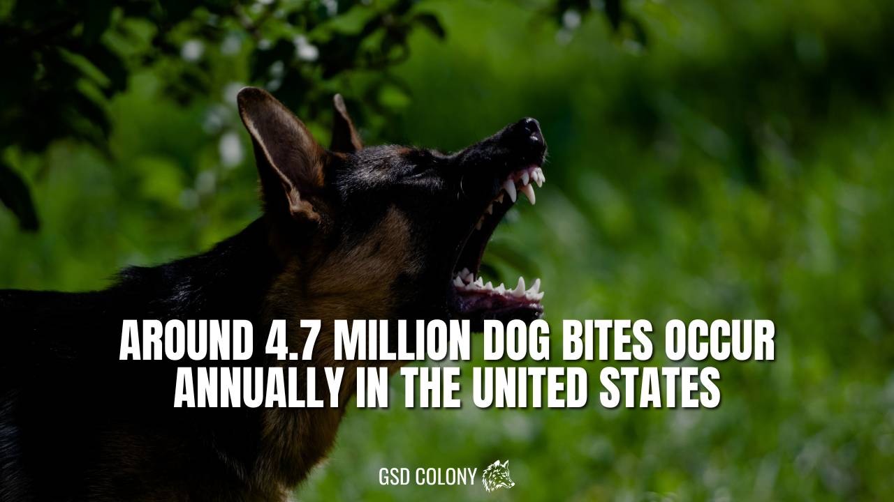 Dog bite statistic in USA