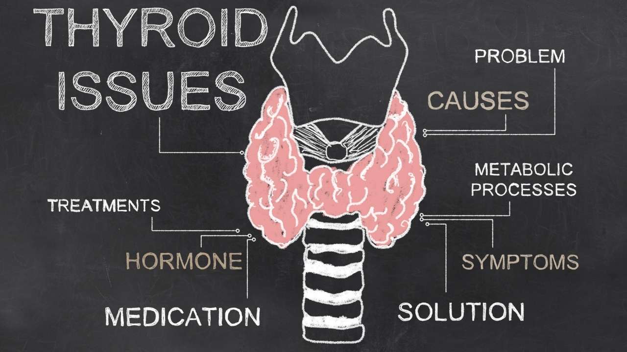 Hypothyroidism in German Shepherd dogs