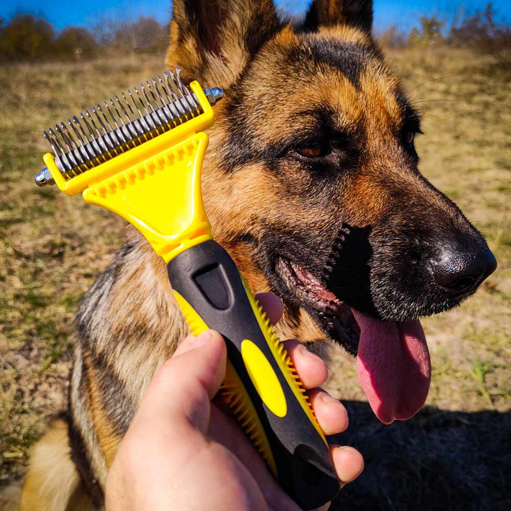 German Shepherd dog grooming brush and brushing