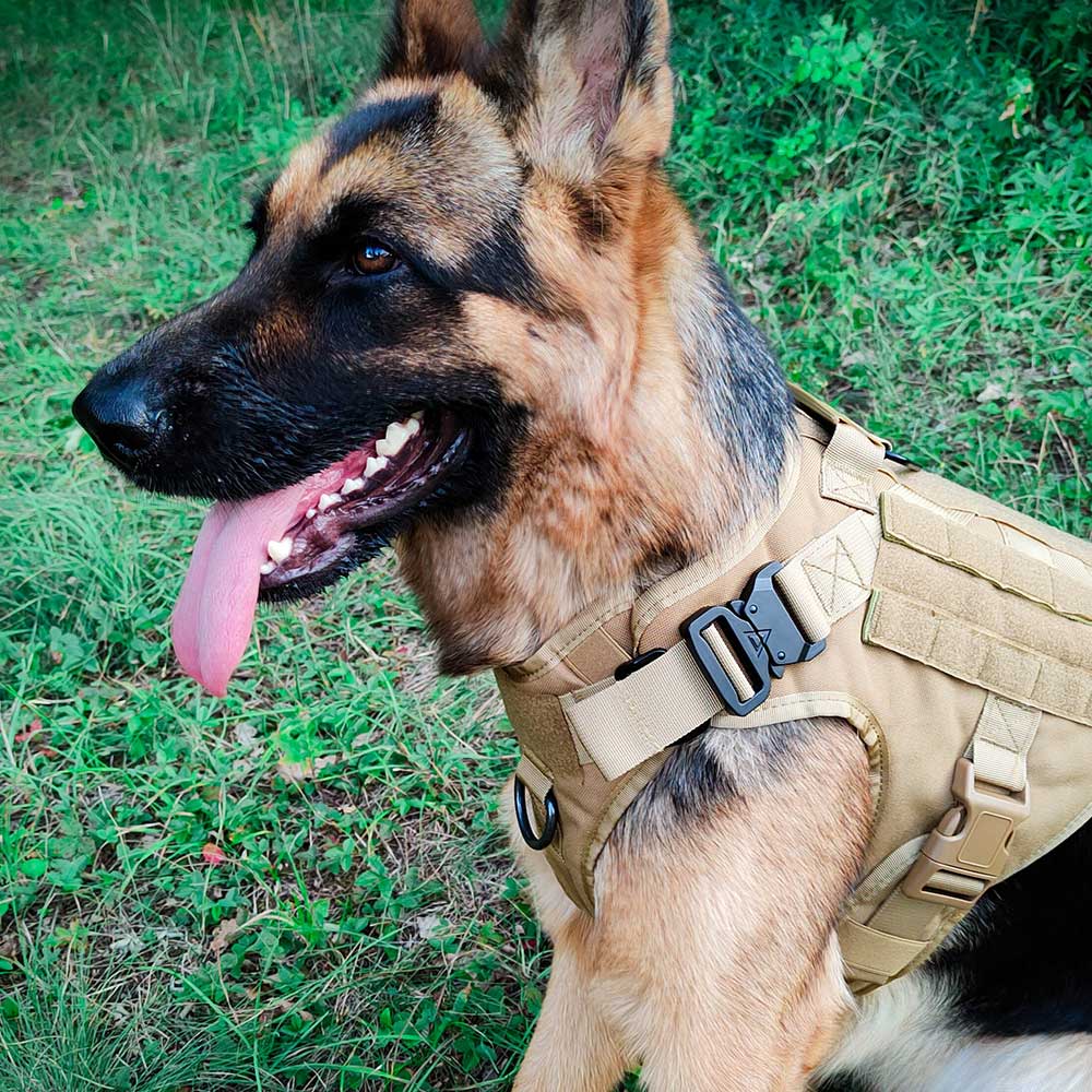 best tactical harness for german shepherd