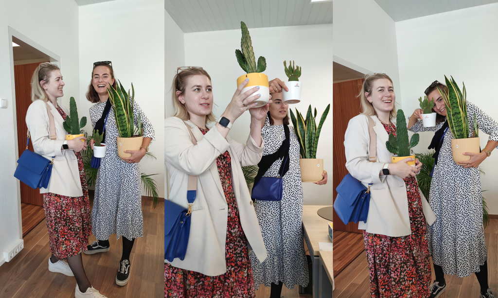 People Buying Plants for Office NUUWAÏ