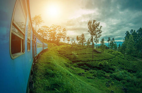 view from the train to the tea plantations of sri lanka