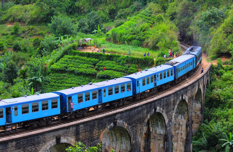 a train on a bridge passes a tea plantation in sri lanka