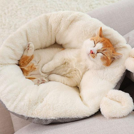 Produits Mots Cles Coussin Pour Chat Gifi Avenue Des Animaux