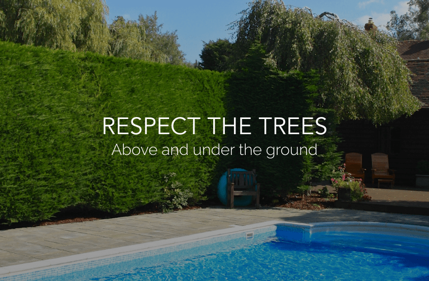 Respect the trees when planning a pool installation