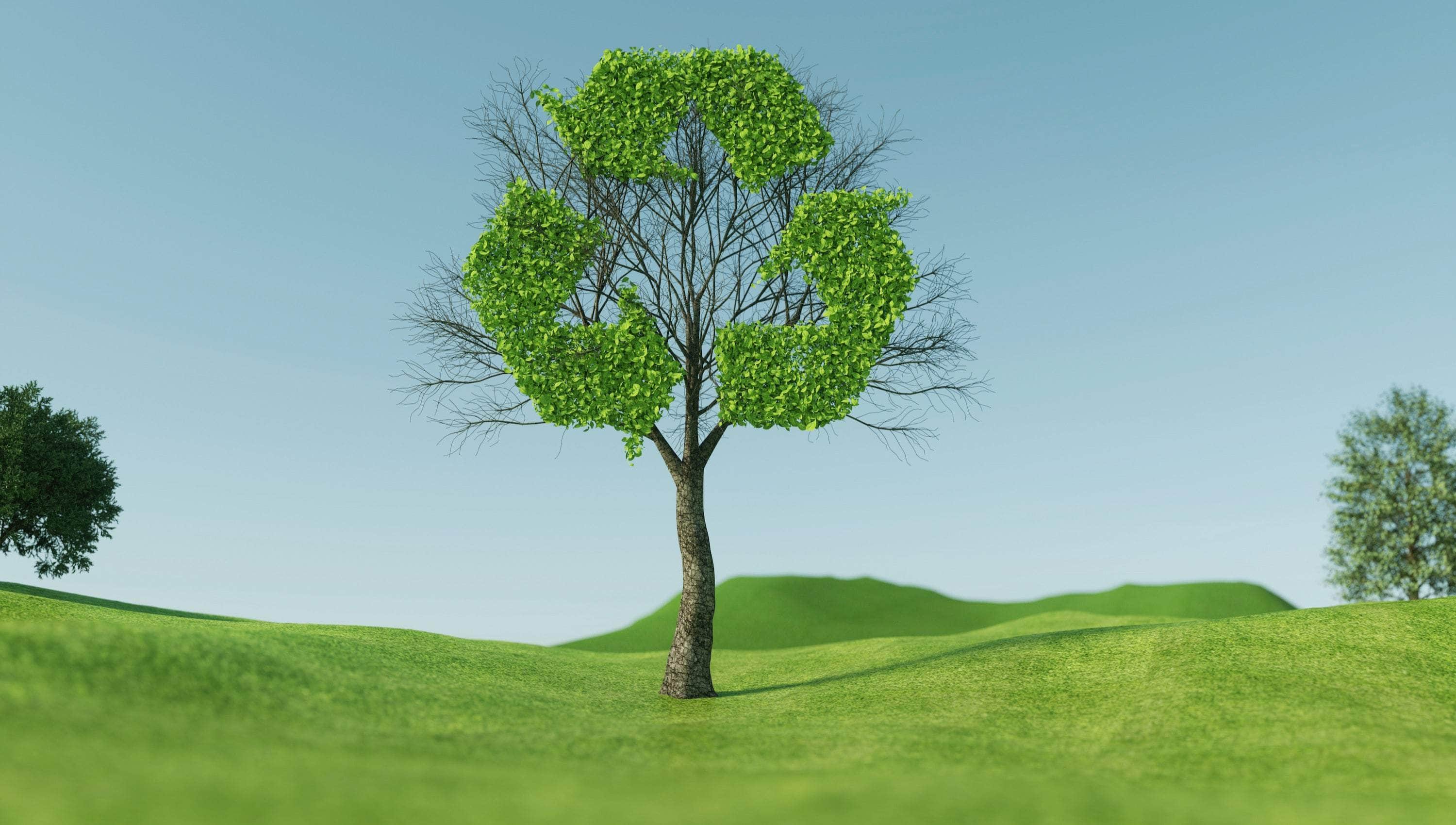 nachhaltig verpackung gogreen
