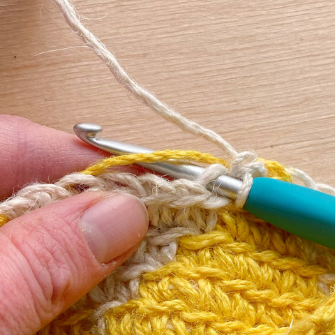 Cómo hacer crochet tapiz