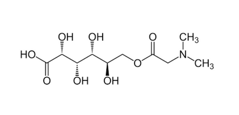 Vitamin B15, Pangamic Acid