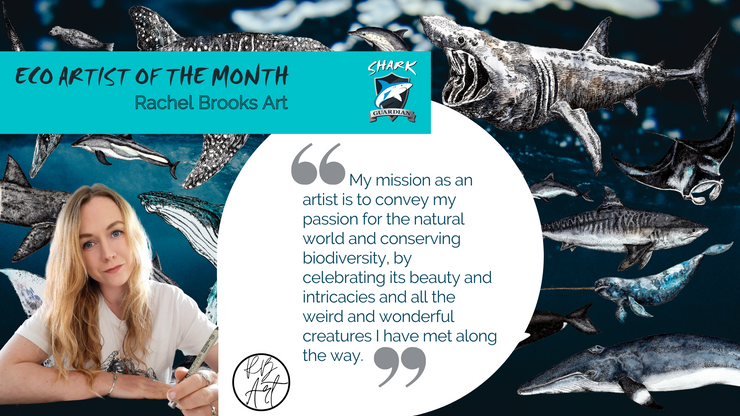 Shark Guardian Eco Artist of the Month Rachel Brooks Art