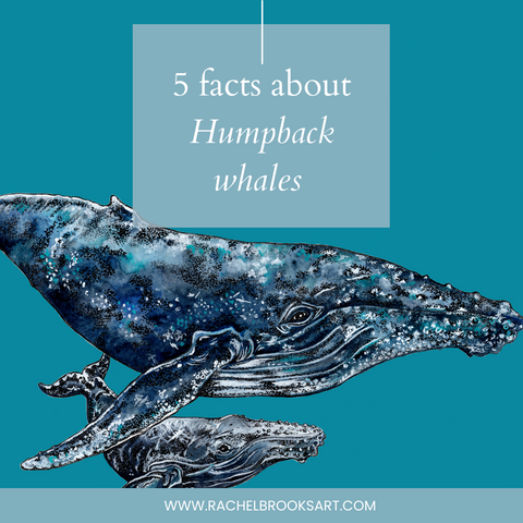 Humpback whale and calf painting - pin my blog about whales for later