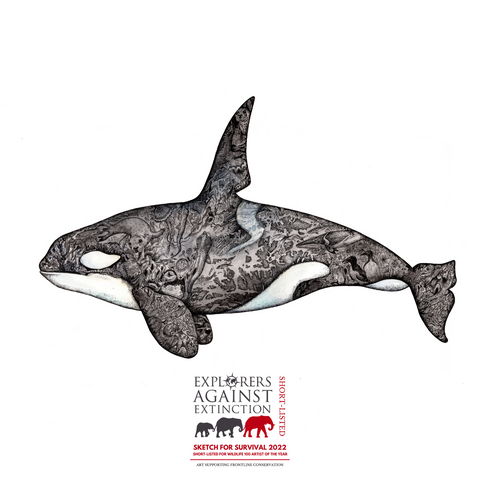 Orca Ink Art by Rachel Brooks Art, Shortlisted in the Sketch For Survival Competition