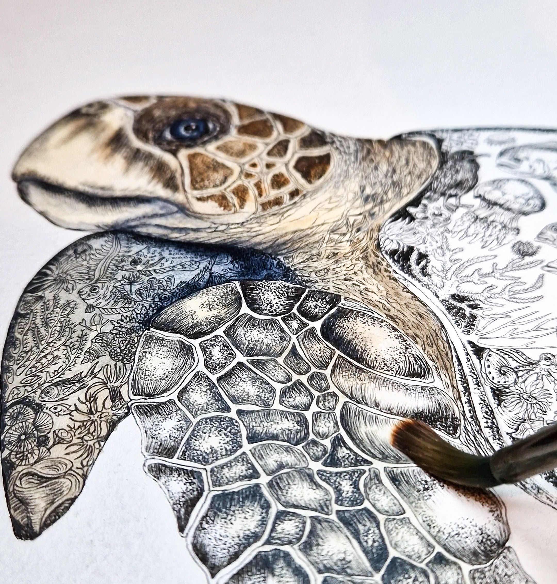 Turtle Art by Rachel Brooks Art 