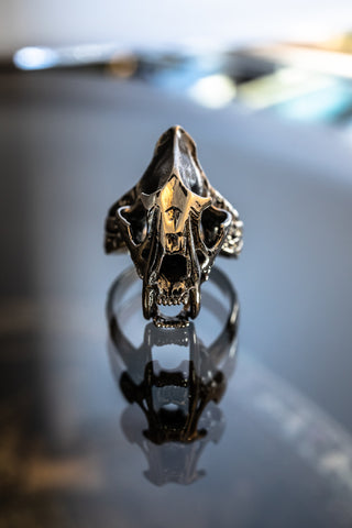 Saber-Toothed Tiger Ring (S) – ZOCALO JAPAN OFFICIAL WEB SITE