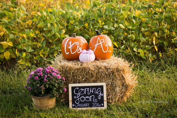 Outdoors | 5 Tips When Throwing a Festive Fall Baby Shower | Baby Aspen