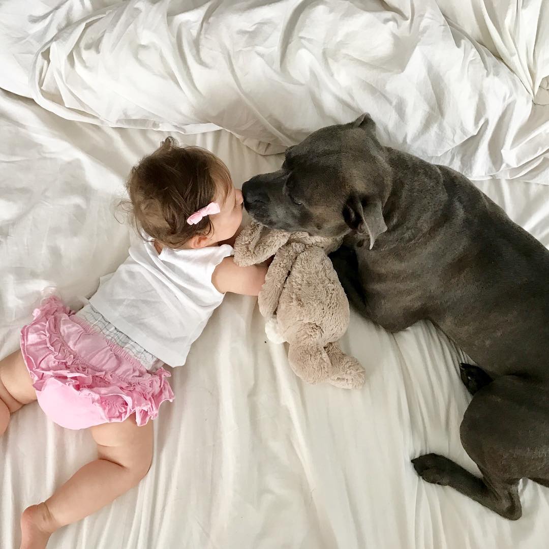 Dog and Baby Kiss | Photo via Instagram @bullyandthebabe | Baby Aspen