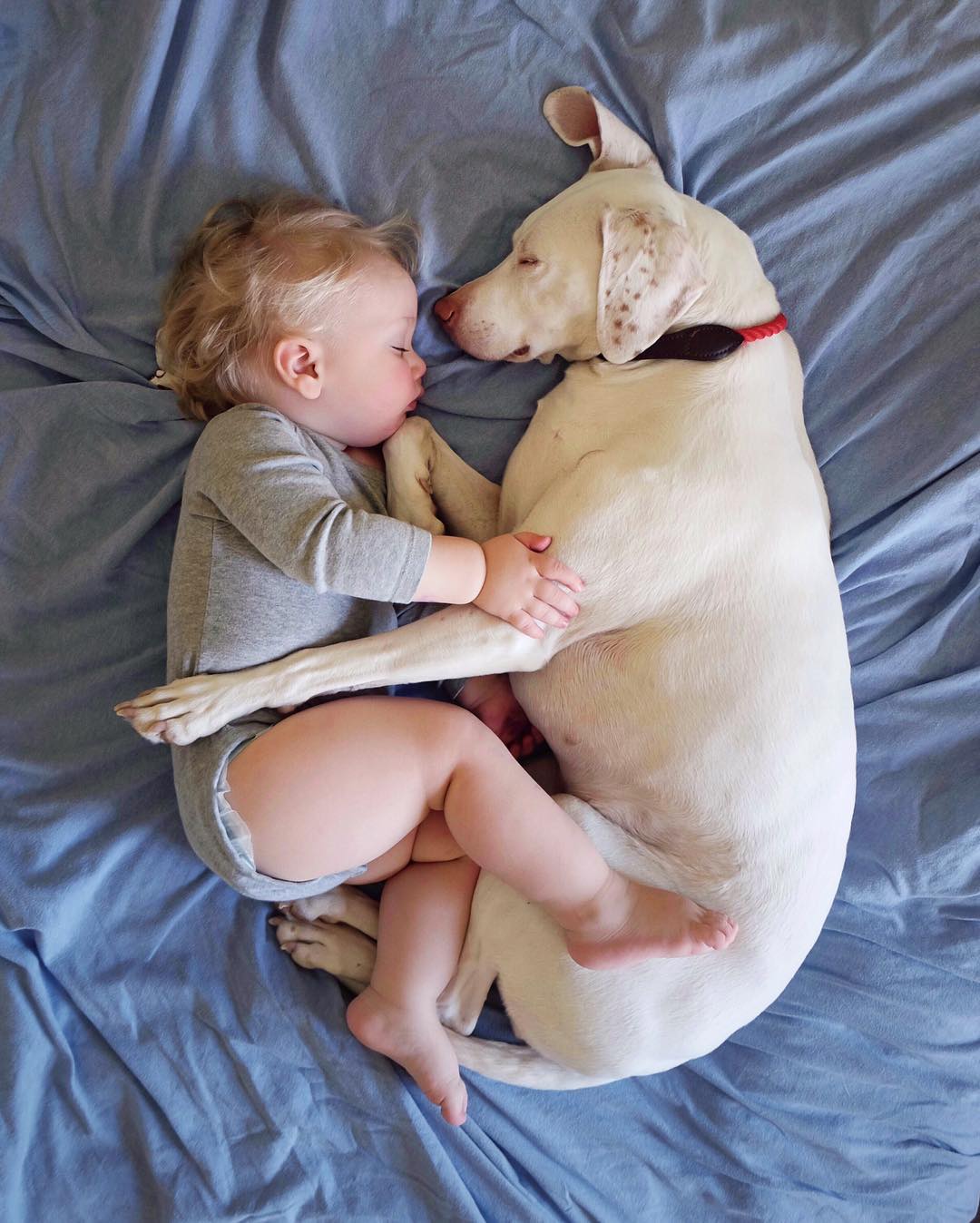 Dog and Baby Cuddling | Photo via Instagram @wellettas | Baby Aspen