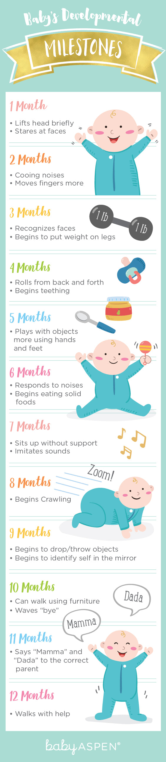 Baby Development Milestones | Infographic | Baby Aspen