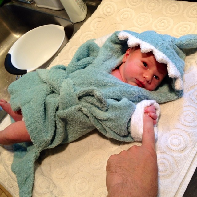 Baby Holding Parent's Hand in Shark Robe | via @jasefos on Instagram